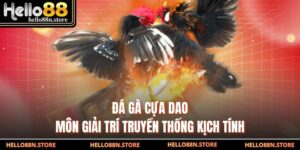 Đá Gà Cựa Dao – Môn Giải Trí Truyền Thống Kịch Tính