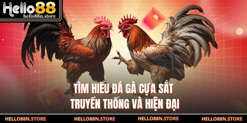 Tìm Hiểu Đá Gà Cựa Sắt Truyền Thống Và Hiện Đại